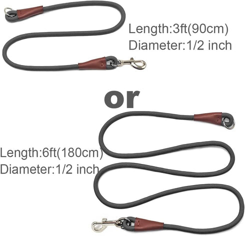 No Handle Dog Leash, 3FT / 6FT Tether Training Leash, Tie Down for Exercising, Bicycle and Outdoor Running Walking