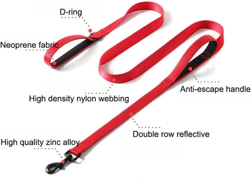 Reflective Nylon Dog Leash Heavy Duty, Two Handles with Padded for Extra Control, 6ft Long 1-inch Width (Orange)