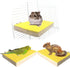 Litewoo Bird Perch Grinding Stand for Bird - 3.5" x 5.1" for Parrot Budgie Cockatiel