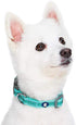Blueberry Pet Essentials Small Dog Collar - Adjustable Classic Solid Color Nylon, Reflective Minty Green for Small Dogs