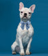 Lionet Paws Bowtie Dog Collar, Comfortable Silk Collar with Detachable Bow Tie for Medium Dogs, Neck 13.5-22 Inches