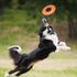 Nerf Dog Atomic Flyer 10 Inch Outdoor Dog Fetch Toy, Rubber Flying Disc for Medium and Large Dogs, Orange