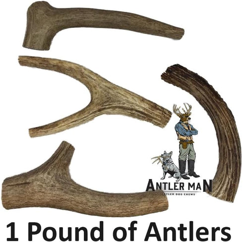Premium Deer Antler Pieces - Dog Chews, Sold by The Pound