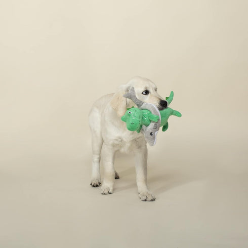 Fringe Studio Plush Dog Toy, Shark Week REX (289879) for All Sizes of Breeds