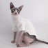 Winter Thick Cotton T-Shirts for Sphynx Cats, Double-Layer Pullover Kitten Shirts with Sleeves, White (M 5.5-7.1 lbs)