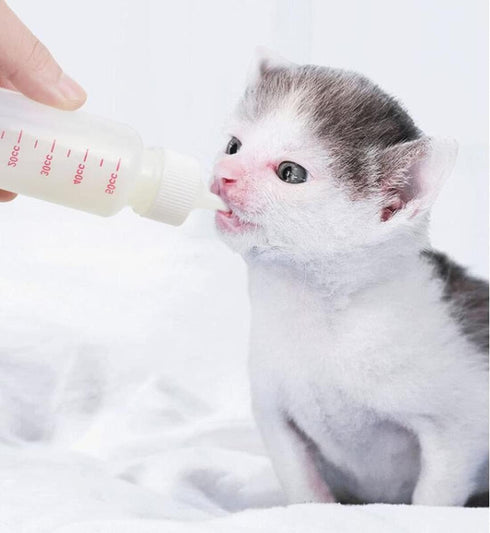 DoubleWood Pet Nursing Bottle Kits with Replacement Nipple for Newborn Kittens, Puppies, Rabbits