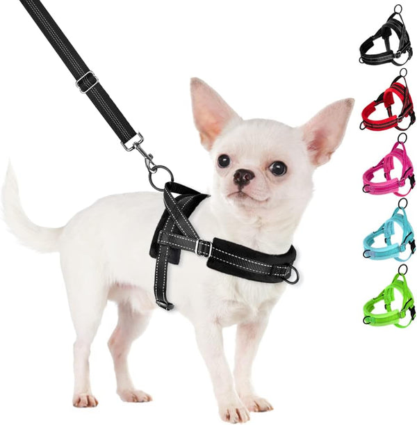 SlowTon No Pull Small Dog Harness and Leash Set, Adjustable Soft Vest Harness for Small Medium Dogs (Black, M)