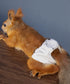 WCDJOMOP (3.9" 6.3"), 3 Reusable Washable Squirrel Diapers, Highly Absorbent with Strong & Flexible Pants No Leak