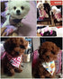 PET SHOW 10pcs Boys Small Dog Bandanas - Washable Cotton Triangle Head Scarfs for Medium Dogs