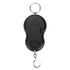 Portable LCD Display Digital Fishing Hanging Scale, Electric Weighing Scale for Home and Fishing
