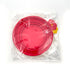 Large Collapsible Dog Cat Bowl, 2 Pack Portable Foldable Pet Bowl for Walking and Traveling