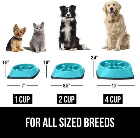 Gorilla Grip Slow Feeder Dog and Cat Bowls, Interactive Puzzle Toy for Food Training, 1 Cup Turquoise, 100% BPA Free,