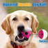 Soft Squeaky Dog Ball 2.56” - Latex Squeaky Toys for Medium and Small Dogs, 3pcs for Fetch and Chase