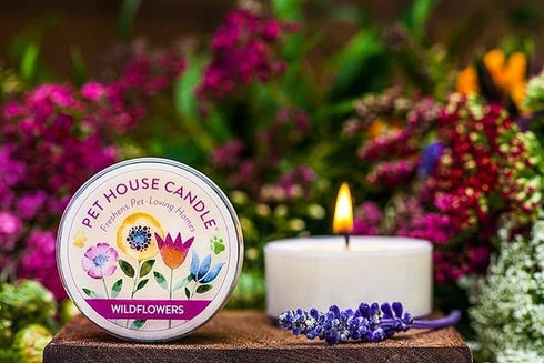 Pet House Mini Candles Pack of 3 for Pet Odor, Natural Soy Wax, Dog and Cat Friendly Bamboo Watermint Scented