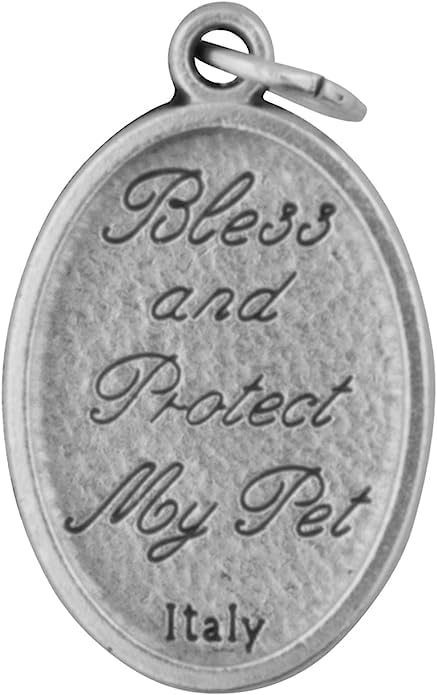 Religious Gifts Saint St Francis of Assisi Silver Tone Pet Medal, 1 Inch H