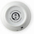 Necoichi Ceramic Cat Bowls for Indoor Cats, Whisker Friendly, Anti-Spill Feeding, Cute Cat Dishes