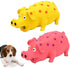 Squeaky Pig Dog Toys, 2 Pack Grunting Pig Toy That Oinks for Small Medium Large Dogs, Grunting Sound Play Dog Toy