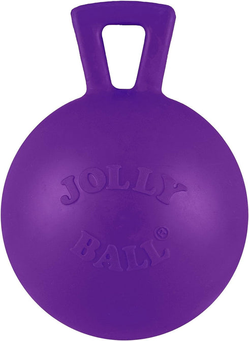 Jolly Pets Tug-n-Toss Heavy Duty Dog Toy Ball with Handle, 4 Inches/Petite, Purple (404 PR)