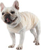 Etdane Dog Diapers, Sanitary Panties for Male and Female Dogs, Yellow/X-Small