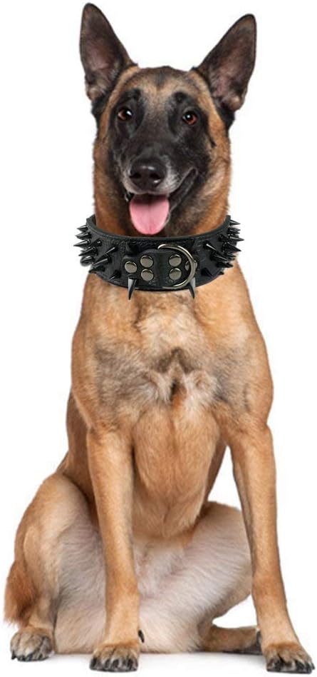 Sharp Spiked Studded Dog Collar, Stylish Leather Collars for Medium & Large Dogs, 2 Inch Width, Pitbull Labrador Boxer