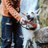 Dog Puppy Bone Toy for Aggressive Chewers, Beef Flavor, Durable Rubber for Small/Medium Breeds