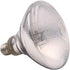 Mercury Vapor Bulb, 100 Watts
