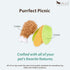 Set 2) P.L.A.Y. Cute Cat Toys - Feline Frenzy Picnic Food Themed Organic Catnip Filled Toy, Great for Adult Cats
