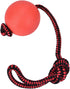 Natural Rubber Dog Toy Ball on a Rope for Training, Playing, Chewing, Solid Tooth Cleaning Toys, Virtually