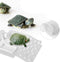 FTVOGUE Tortoise Turtle Acrylic Terrace Floating Island Aquarium Decor for Semi Aquatic Animals (Small)