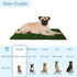 Set 18.25x14.25 Inch, 3-Layer Artificial Grass Puppy Pee Pad for Dogs and Small Pets - of Three Reusable Turf Pads