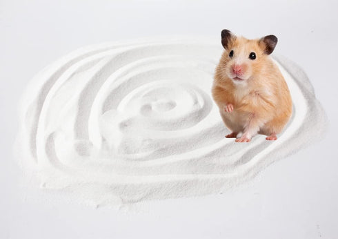 JFWOD 3lb Chinchillas Hamster Bath Sand, Dust Free Desert Sand or Potty Litter Sand for Hamster Gerbil Syrian Mice
