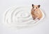 JFWOD 3lb Chinchillas Hamster Bath Sand, Dust Free Desert Sand or Potty Litter Sand for Hamster Gerbil Syrian Mice