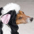 Lil' Stinker Dog Costume, Black/White, Small (fits lengths up to 12")