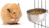 Tfwadmx Bird Feeding Dish Cups, 2PCS Clamp Holder for Parrot Food Bowl, Bird Cage Water Bowl