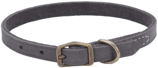 Coastal Pet - Circle T - Rustic Leather Town Dog Collar, Slate Grey, 3/8” x 10”
