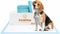 UltraCare Superabsorbent Leak Proof Odor Free Pet Friendly Puppy Pads, Best Potty-Training