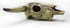 Leoyoubei Aquarium Decoration, Small Skull for Fish Tank, Fish Turtle Hidden Cave Landscape Pet Reptile House (Cattle