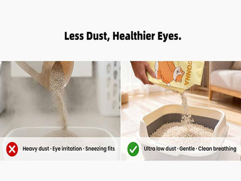 11.4LB(5.7lb 2pack) Natural Tofu Litter x Korea Brand,Flushable,Dust Free,Less Scattering,Ultra Absorbent and Fast