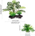 Reptile Artificial Plants, Terrarium Plants Decorations Supplies, Aquarium Fish Tank Plant, Amphibian Habitat Hideout Tank Accessories (M Set-2pcs/B) by Moonorange