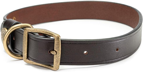 King Buck Premium Leather D Ring Dog Collar, L/XL