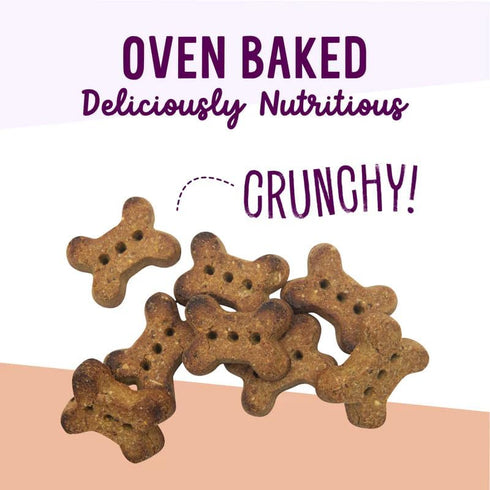 Health Extension Oven-Baked Dog Treats, 6oz, Peanut Butter & Banana Recipe, Gluten & Grain-Free, Crunchy Biscuits