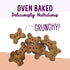 Health Extension Oven-Baked Dog Treats, 6oz, Peanut Butter & Banana Recipe, Gluten & Grain-Free, Crunchy Biscuits