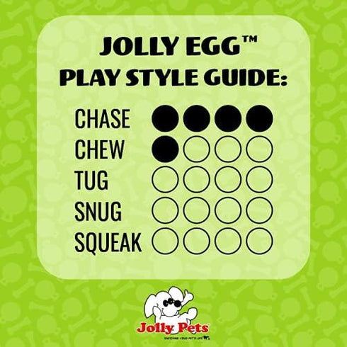 Jolly Pets Jolly Egg Dog Toy, 12 Inches, Large, Purple