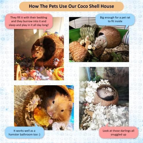 SunGrow Coconut Shell House for Gecko, Snake & Ball Python, Raw Coco Husk Pet Hiding House