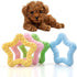 1Pc Random Color Star Shaped Dog Chew Toys, Elasticity Teeth Cleaning, Indoor and Outdoor Pet Supplies