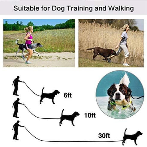 10ft Blue Dog Leashes - Extra Long Traditional Style Leads for Large, Medium & Small Dogs - Great for Parks, Fetch,