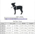 Leather Collar for Small Dogs, Adjustable Genuine Cowhide with Gold Buckle, Soft Touch Padded for XS Medium Large Dogs,