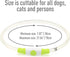 LED Dog Collar Light Up Dog Collars 1 Count USB Rechargeable TPU Glow Safety Basic Collars for Large Medium Small Dogs