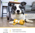 PETGEEK Interactive Dog Toys, Durable Motion Activated Automatic Dog Bone for Medium & Large Dogs, Electronic