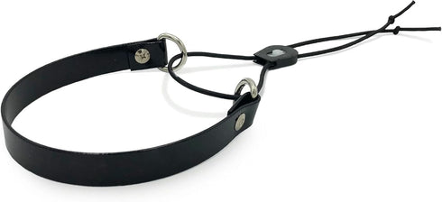 Replacement GPS eCollar with Adjustable Bungee, Multi-Hole Design, and Secure Toggle Closure for Small Dogs (Black